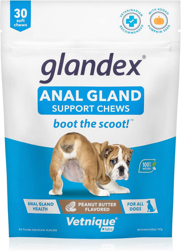 Glandex : Anal Gland Support Chews – Peanut Butter Flavor for Dogs